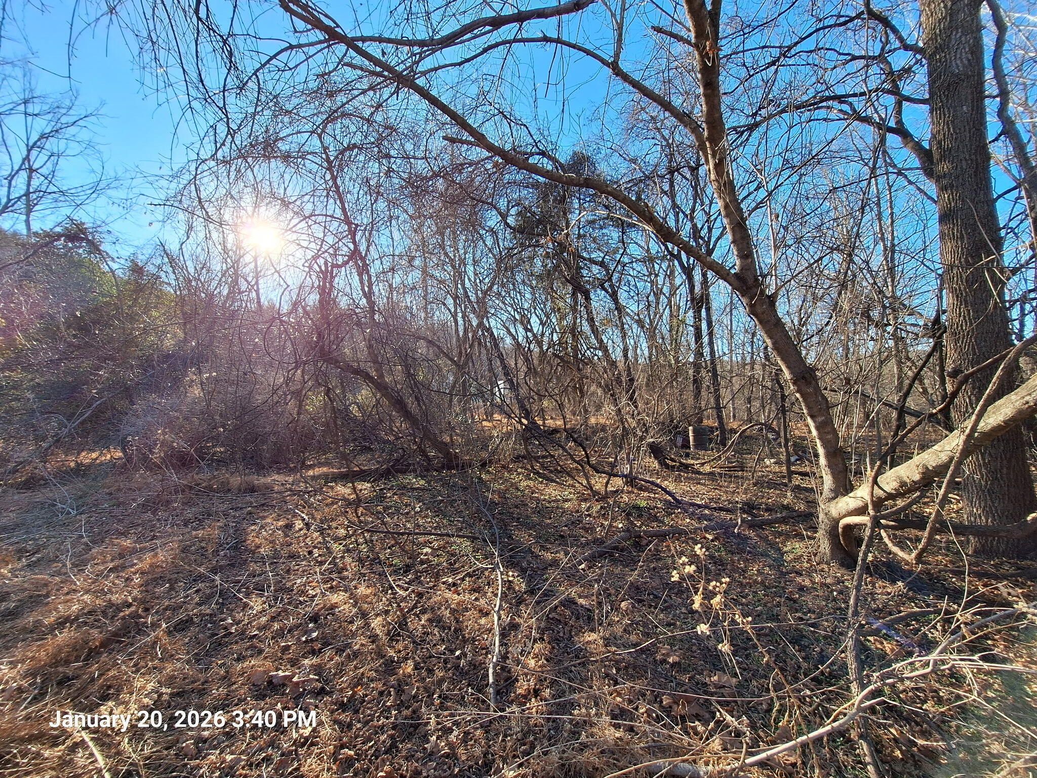 5378 Franklin Road Roanoke, VA 24014 - Photo 4 of 10 a backyard of a house with lots of green space