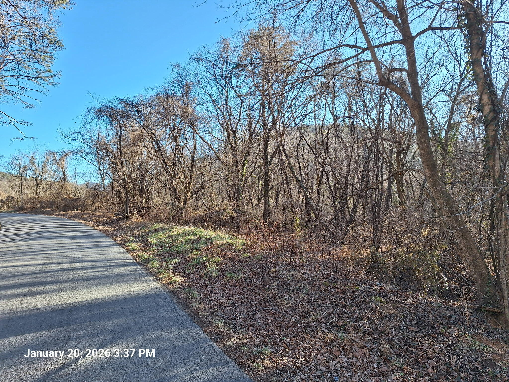 5378 Franklin Road Roanoke, VA 24014 - Photo 8 of 10 a view of road with trees