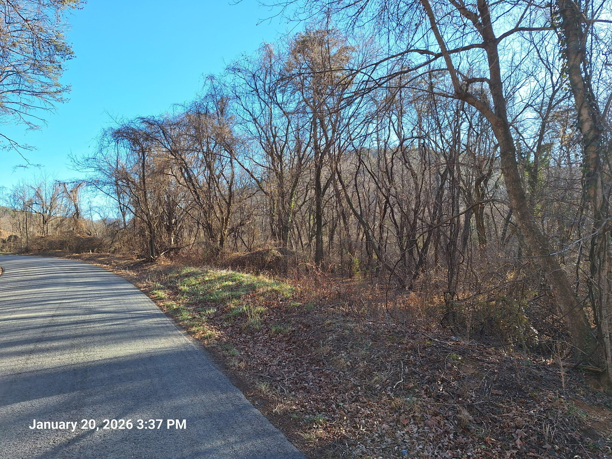 5378 Franklin Road Roanoke, VA 24014 - Photo 10 of 10 a view of park with large trees