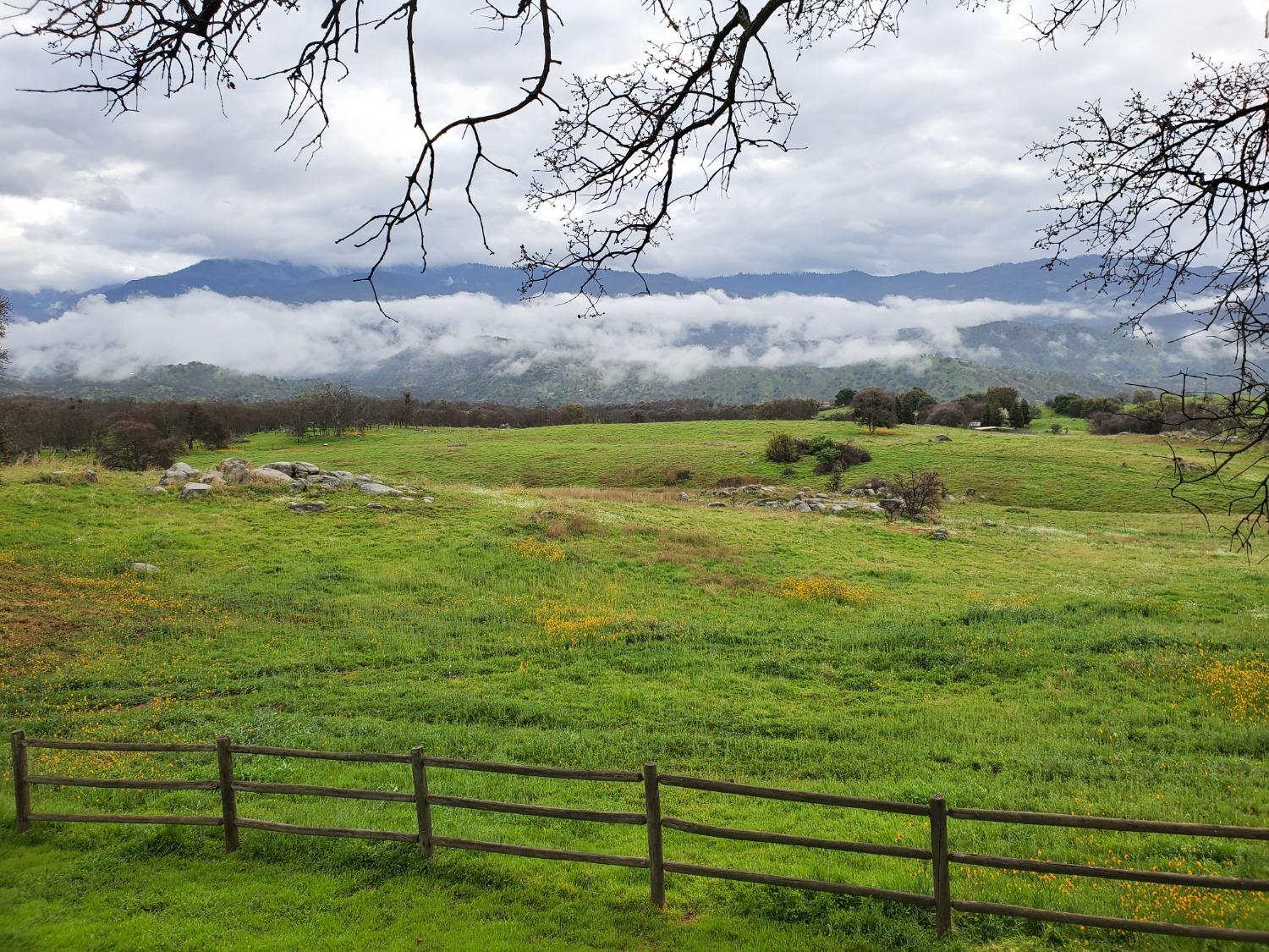 41622 Blue Oak Drive Springville, CA 93265 - Photo 56 of 68 a view of a yard with an outdoor space