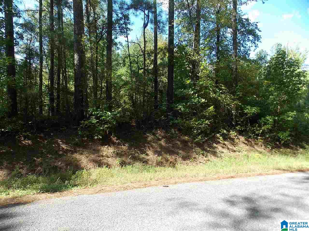 Fairview Church Road, Unit 16 Oneonta, AL 35121 - Photo 3 of 3