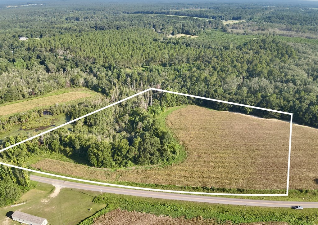 10.3-acres Red Oak Road Florala, AL 36442 - Photo 13 of 13