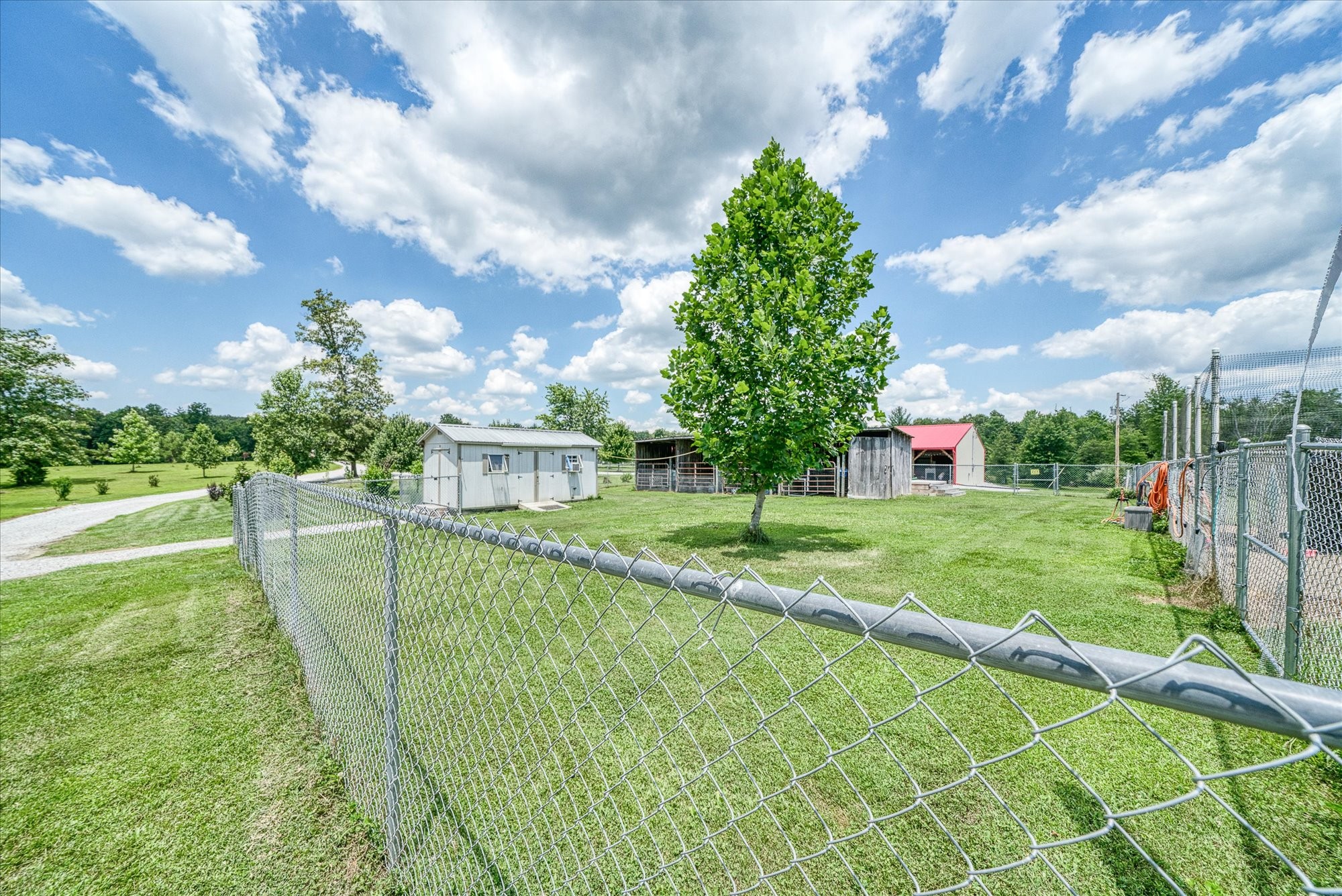 125 Clarence Lee Road Lancing, TN 37770 - Photo 25 of 55 a view of a house with pool