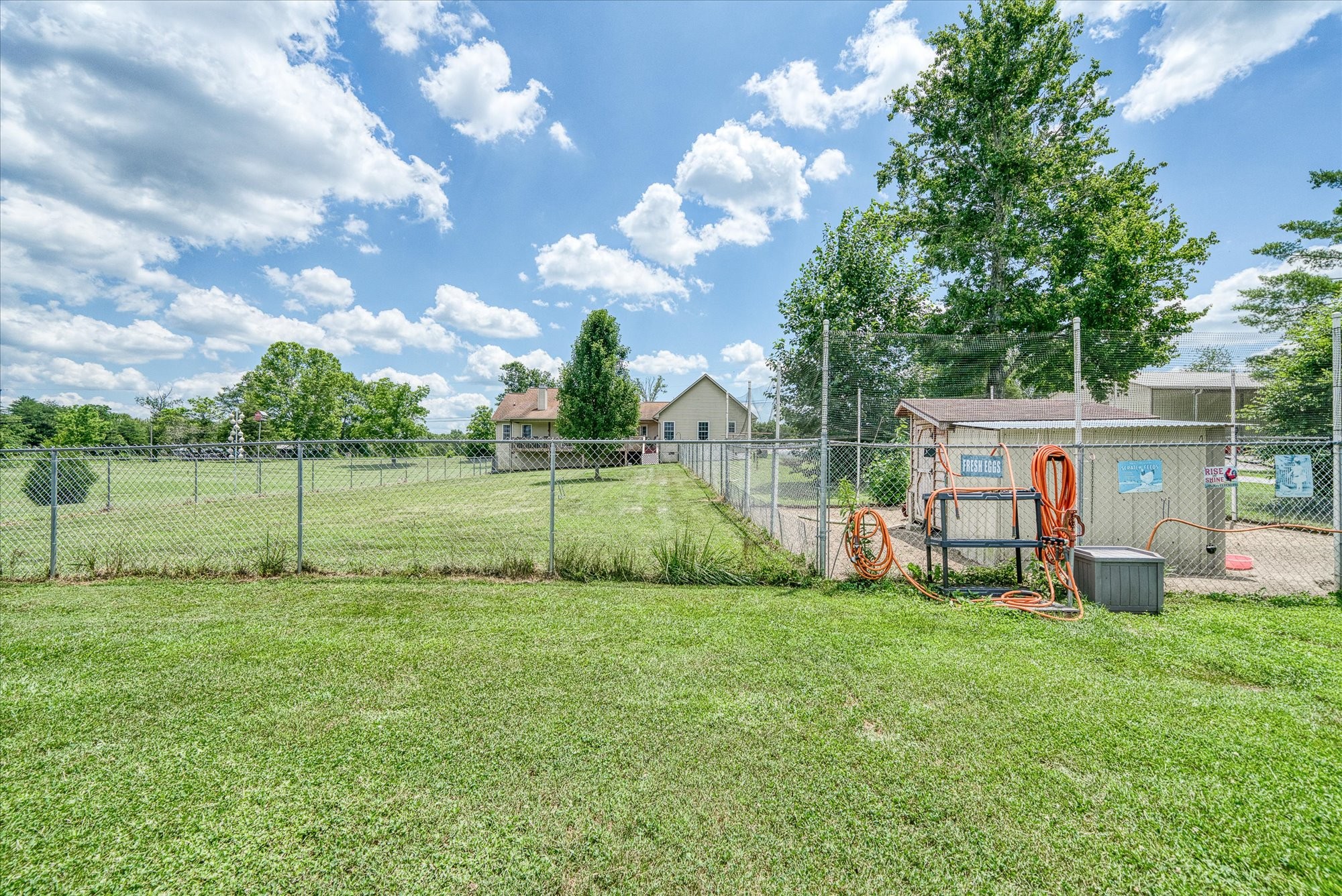 125 Clarence Lee Road Lancing, TN 37770 - Photo 27 of 55 a view of a house with a big yard and a large tree
