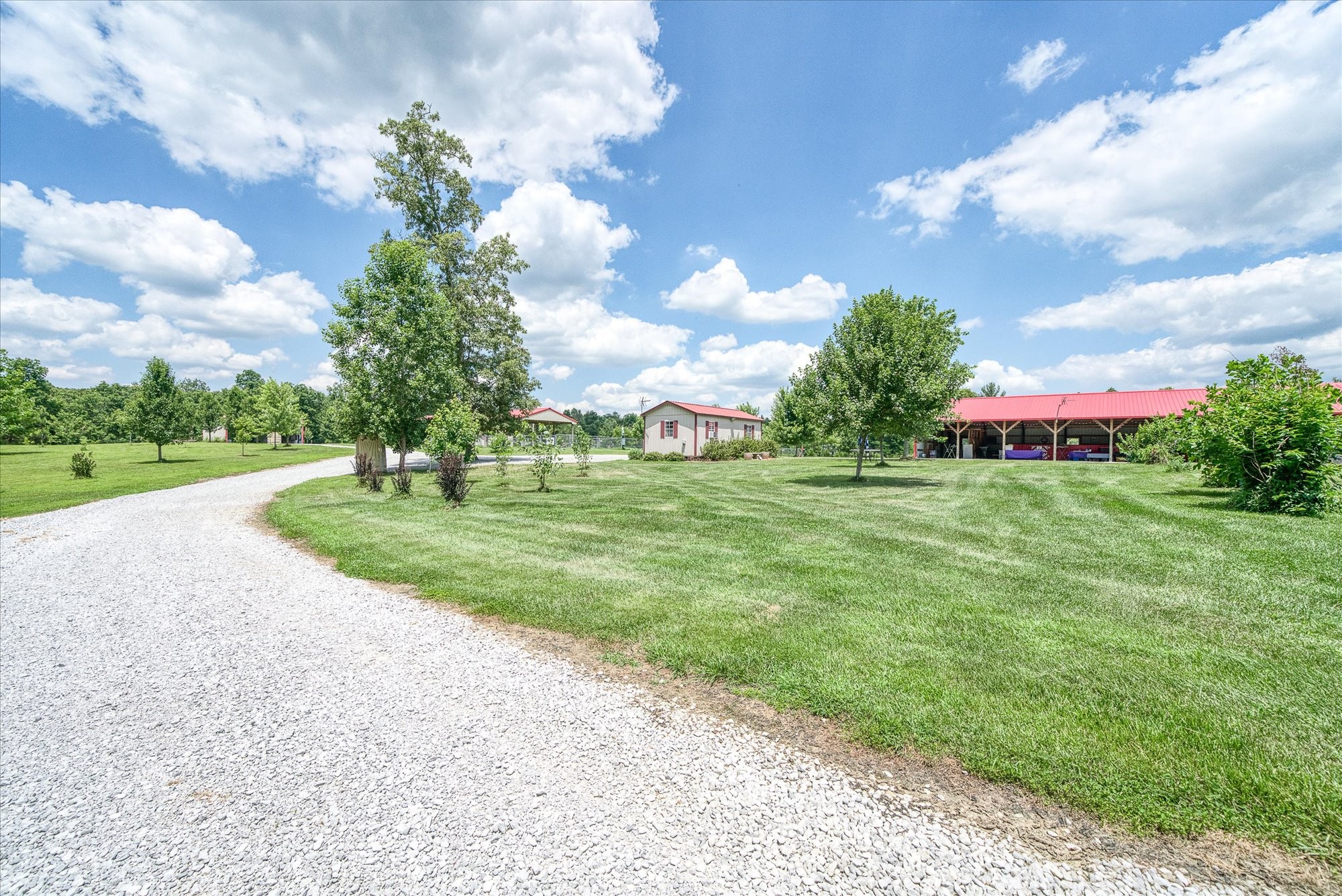 125 Clarence Lee Road Lancing, TN 37770 - Photo 28 of 55 a view of a park with large trees