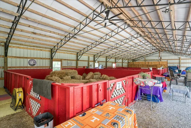 a view of a house with a big yard and a large tree