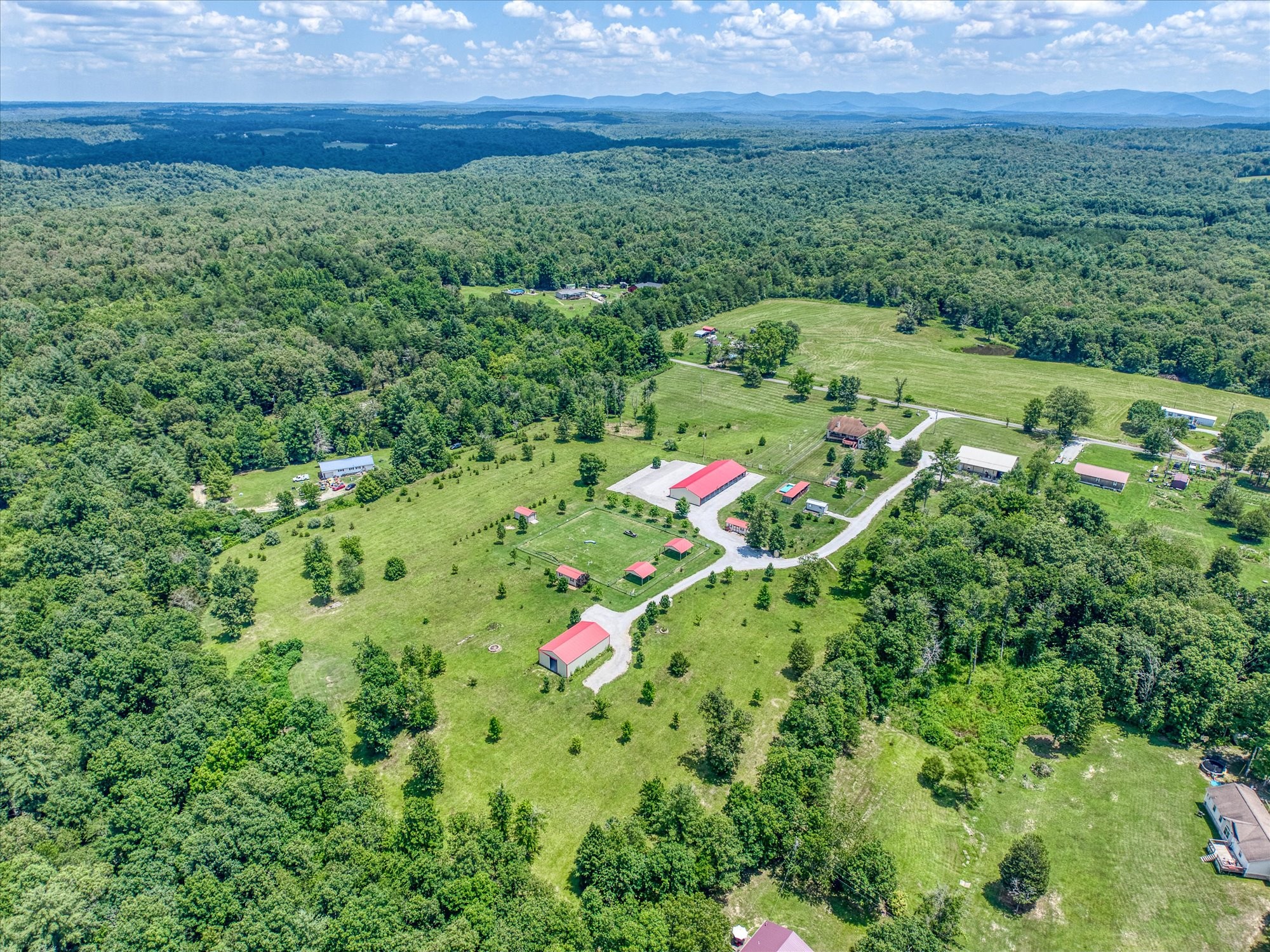 125 Clarence Lee Road Lancing, TN 37770 - Photo 46 of 55 a view of a field with plants and large trees