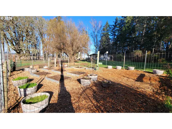 a view of a backyard