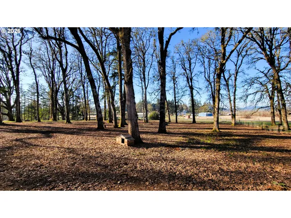 a open area with trees in the background