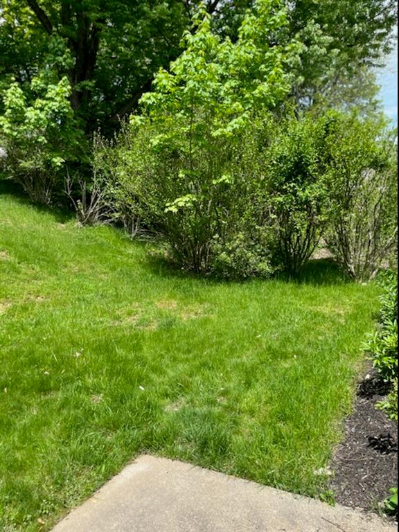 330 Beulah Road Pittsburgh, PA 15235 - Photo 20 of 24 a view of yard with green space