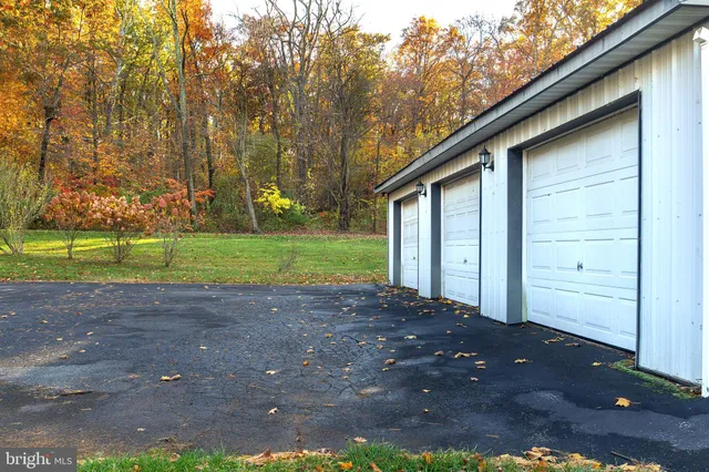 a view of backyard and tree