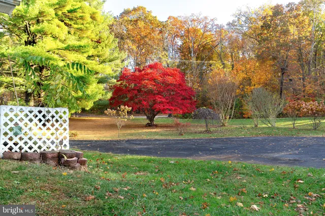 a view of an house with backyard and trees