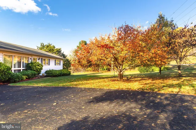 a view of an ocean building and trees in the background