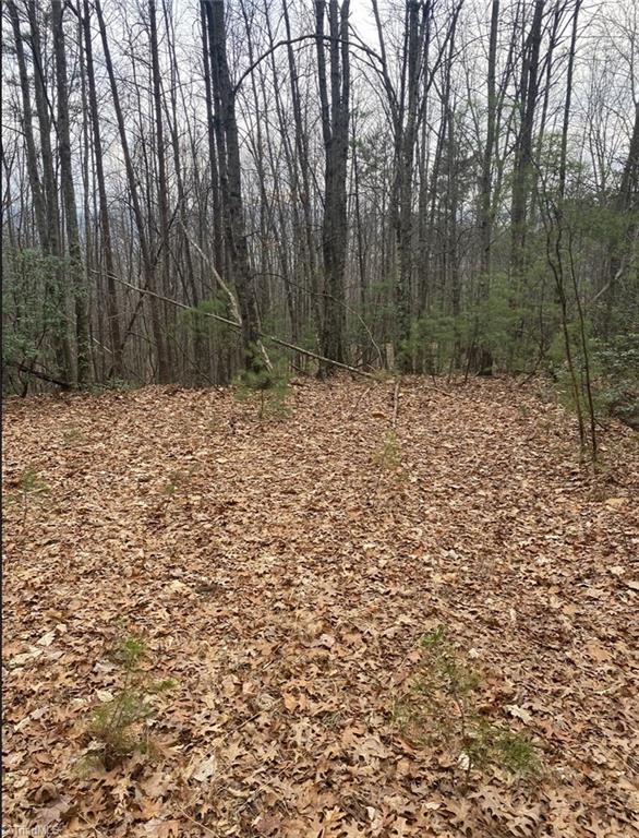 227 Deer Run Purlear, NC 28665 - Photo 1 of 5