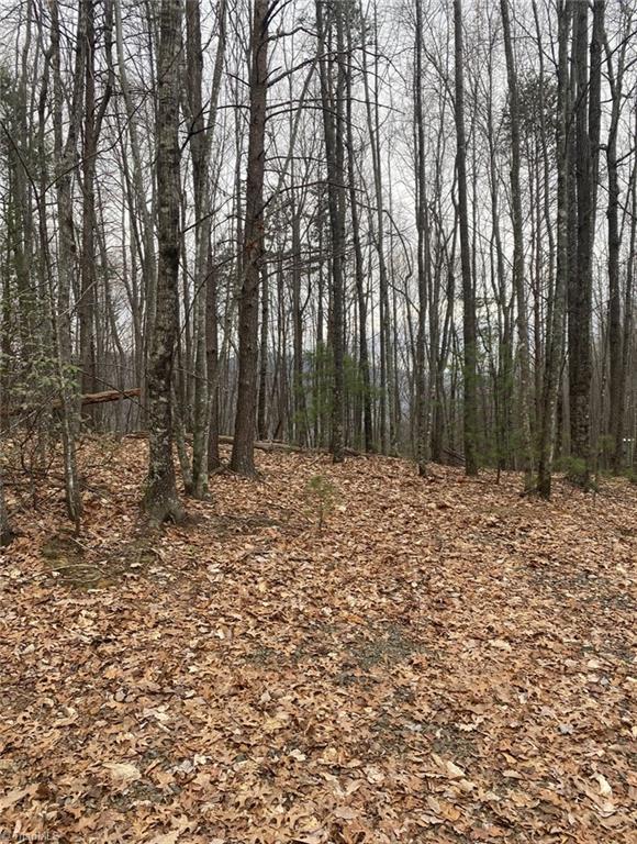 227 Deer Run Purlear, NC 28665 - Photo 2 of 5