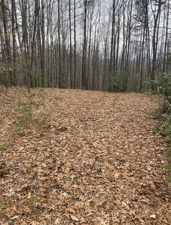 227 Deer Run Purlear, NC 28665 - Photo 3 of 5