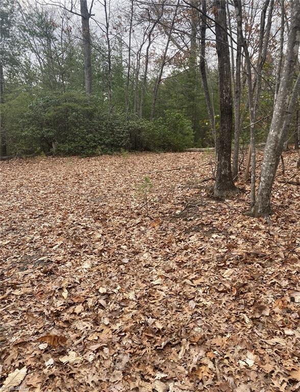 227 Deer Run Purlear, NC 28665 - Photo 4 of 5