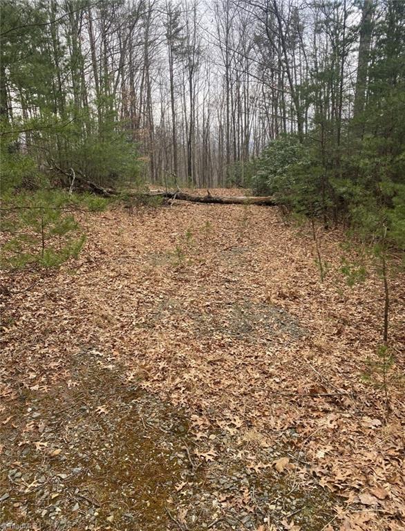 227 Deer Run Purlear, NC 28665 - Photo 5 of 5