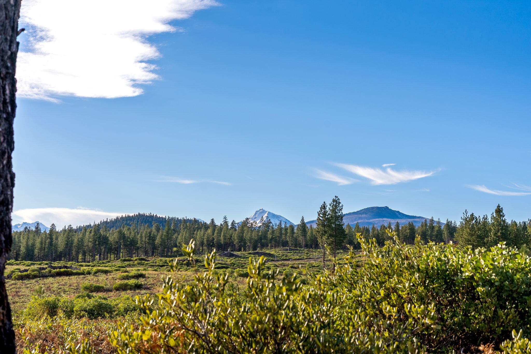 70410 McAllister Road, Unit FS ROAD 2060 Sisters, OR 97759 - Photo 9 of 28