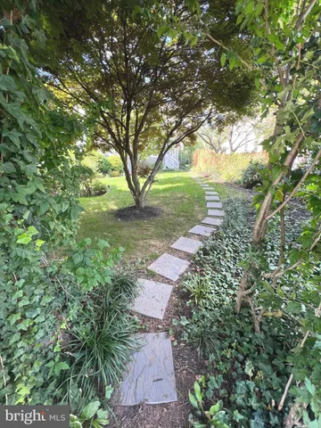 a view of a yard with plants and a large tree