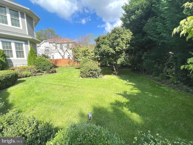 a view of a yard with plants and large trees