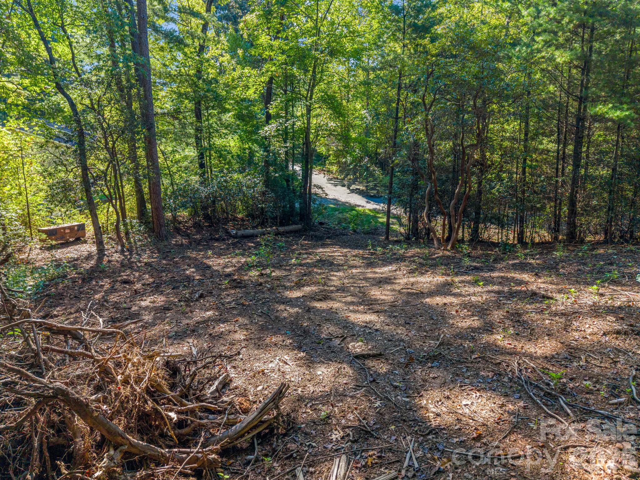 130 Summit Rise Road Pisgah Forest, NC 28768 - Photo 12 of 30 Gallery Image 12
