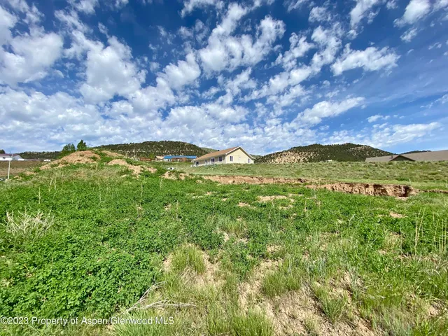 a view of a pathway with a garden