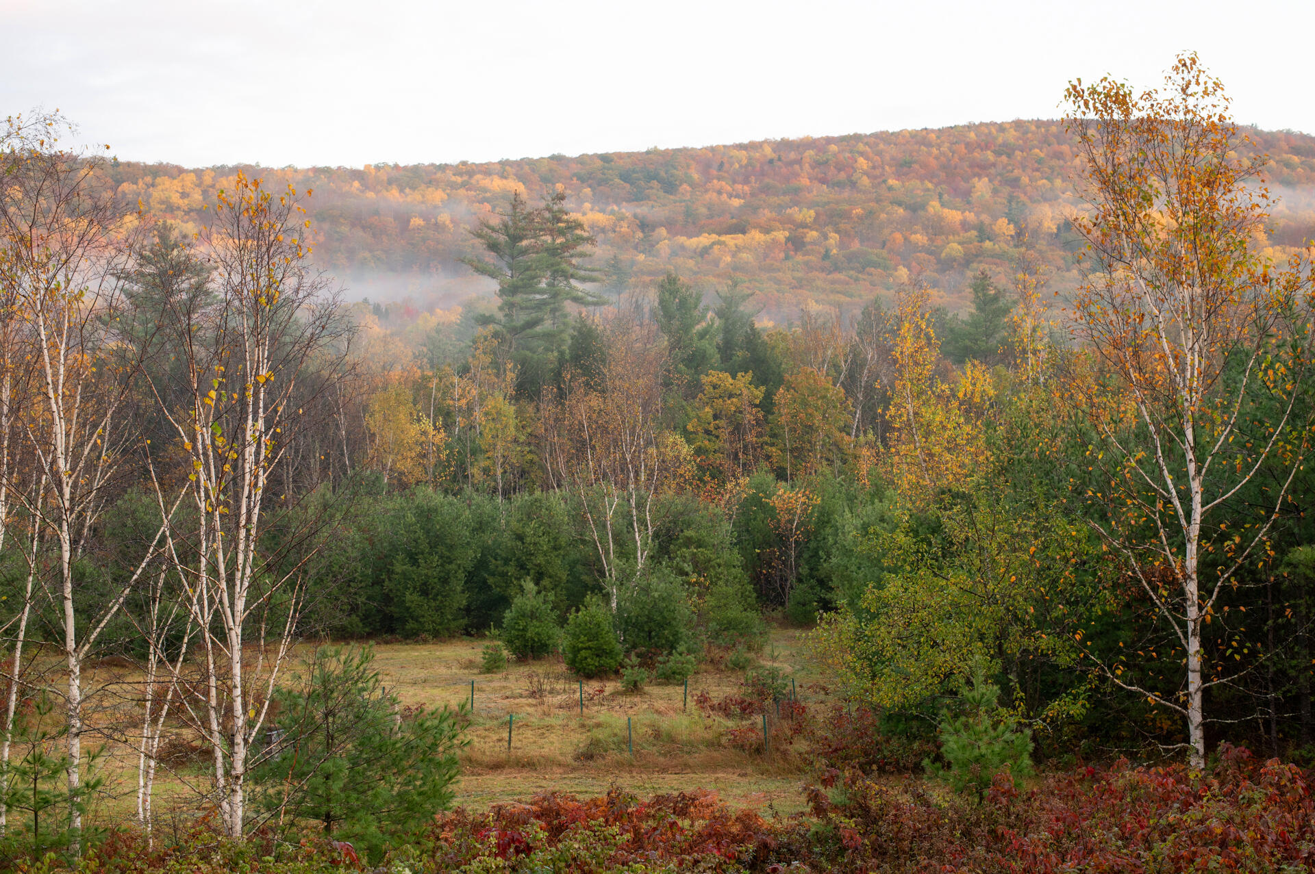 1471 N Road Bethel, ME 04217 - Photo 37 of 38 1471 N Road-70