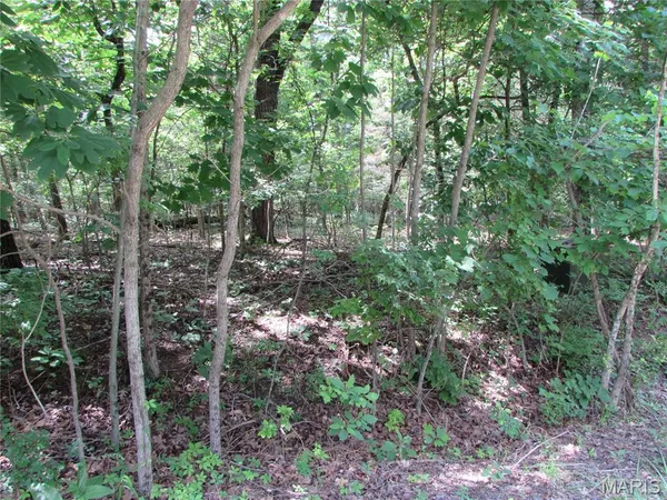 $6,000 | Lot315-sec6 Marion Drive, De Soto, MO 63020