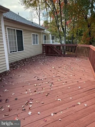 a view of a yard with large trees