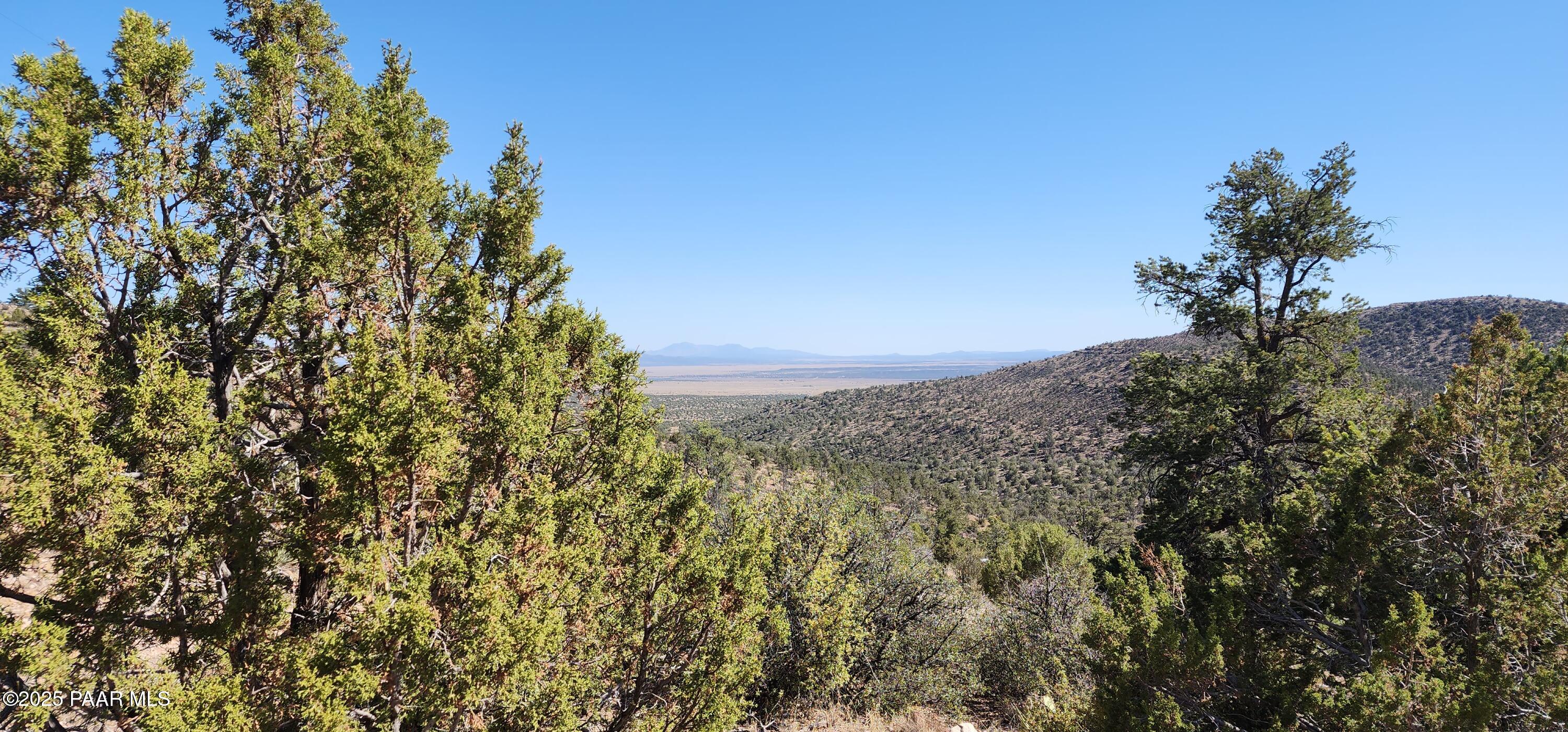 Lot 1 Big View Ash Fork, AZ 86320 - Photo 1 of 9 a view of a lush green space with sea