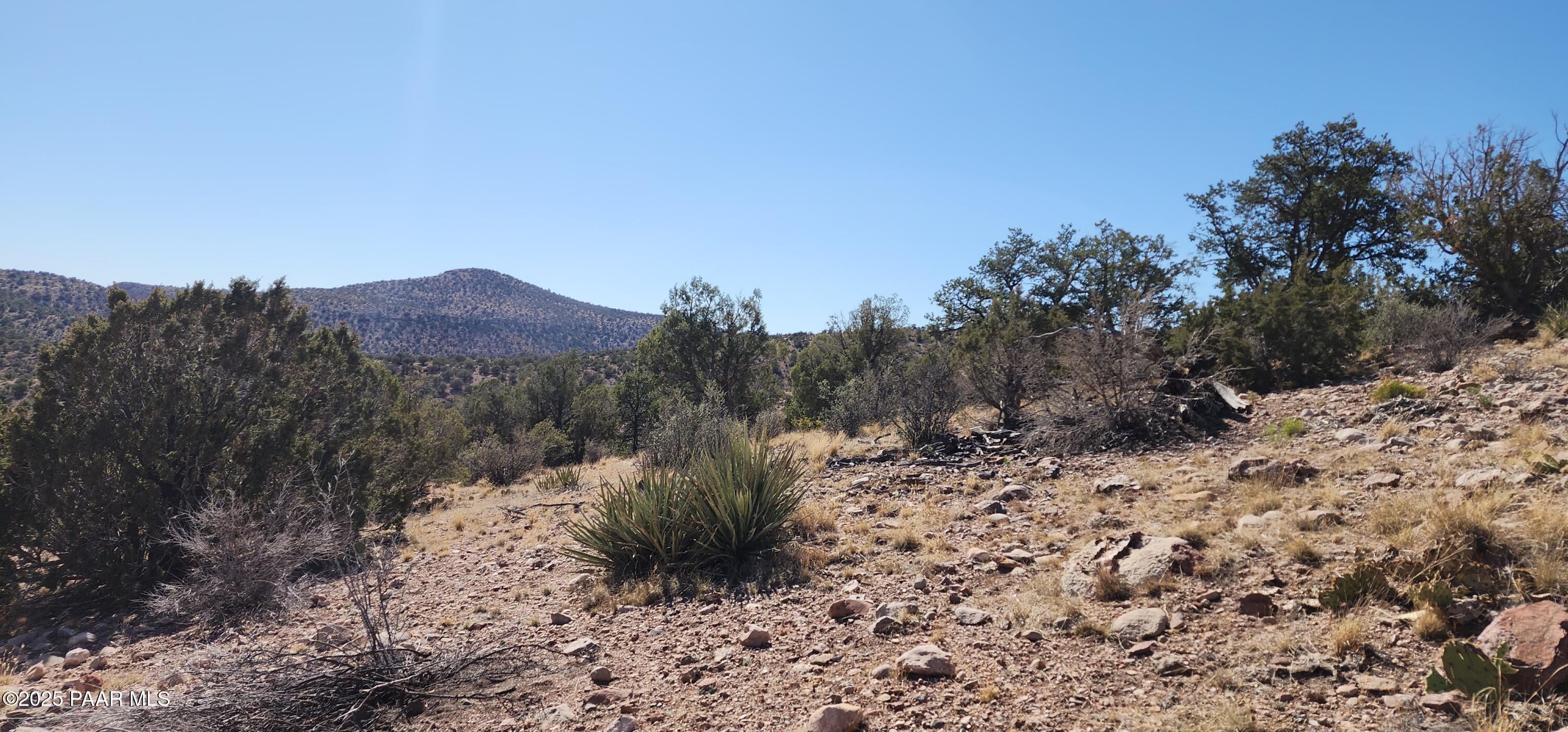 Lot 1 Big View Ash Fork, AZ 86320 - Photo 3 of 9 a view of a backyard of a house