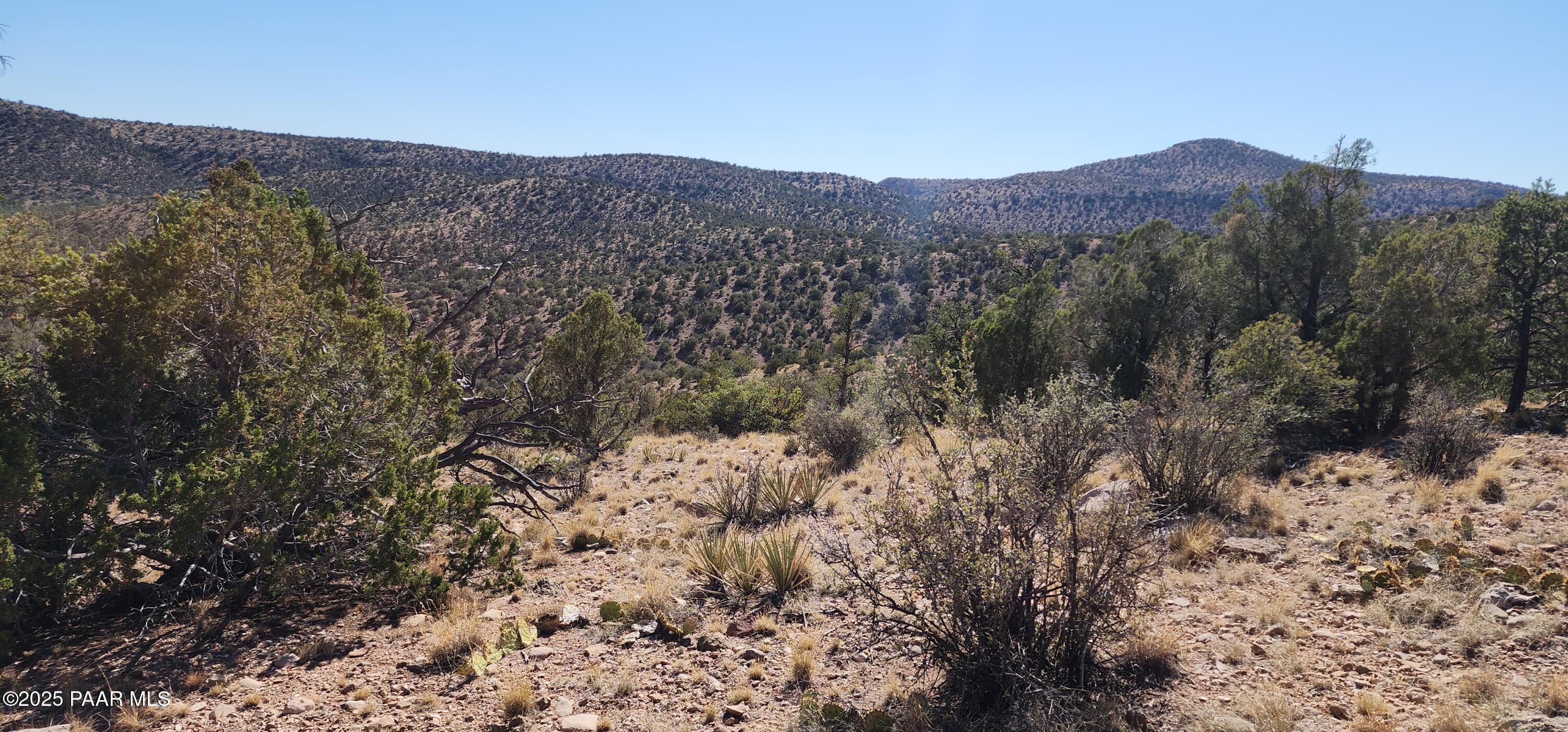 Lot 1 Big View Ash Fork, AZ 86320 - Photo 5 of 9 a view of a forest with mountains in the background
