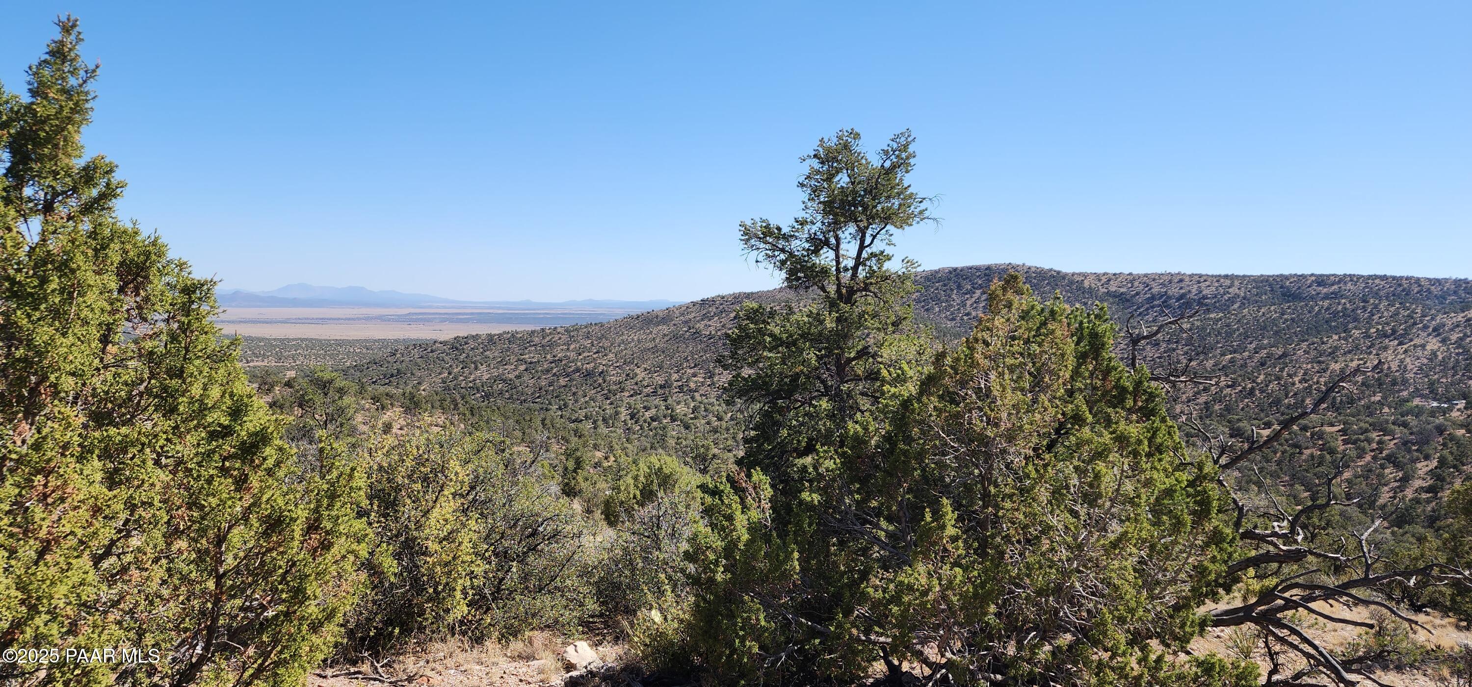 Lot 1 Big View Ash Fork, AZ 86320 - Photo 6 of 9 a view of a yard