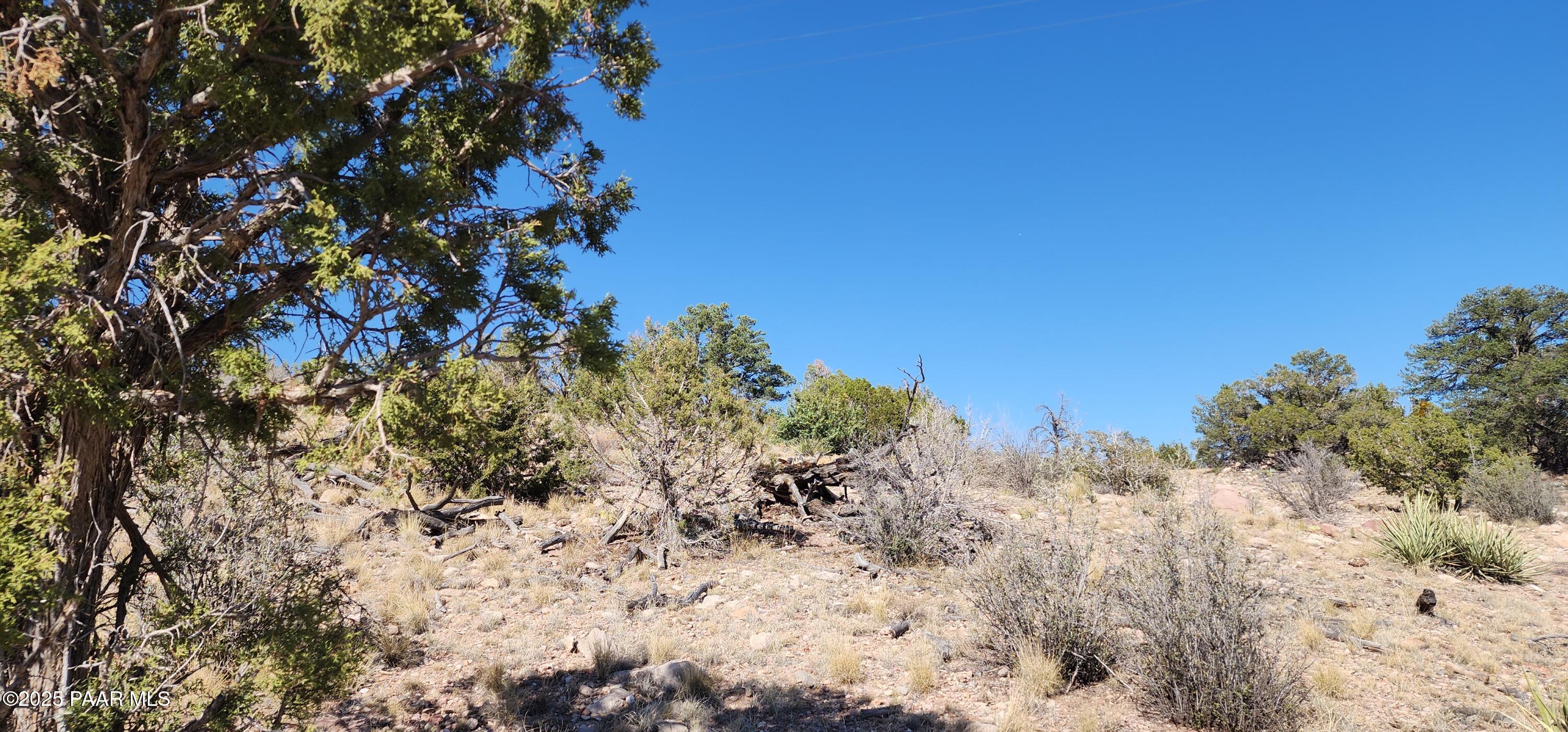 Lot 1 Big View Ash Fork, AZ 86320 - Photo 8 of 9 a view of a dry yard with lots of bushes