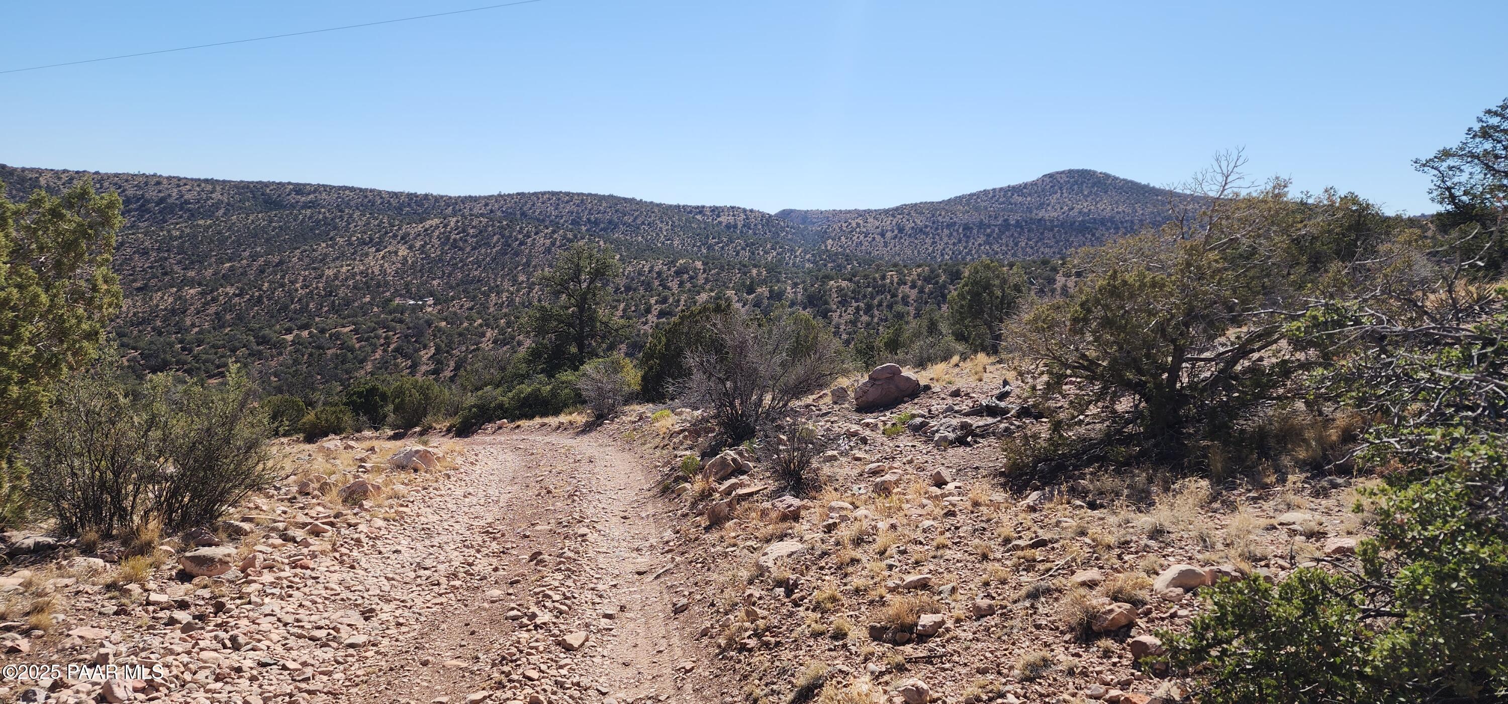 Lot 1 Big View Ash Fork, AZ 86320 - Photo 9 of 9 a view of a large tree