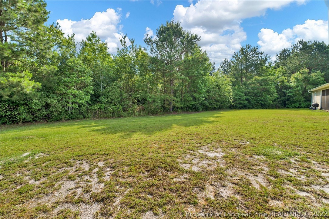 723 Cape Fear Road Raeford, NC 28376 - Photo 33 of 33 a view of a field with an trees in the background