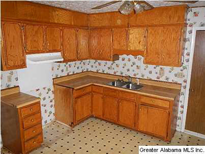 2890 Nottingham Road Alpine, AL 35014 - Photo 3 of 11
