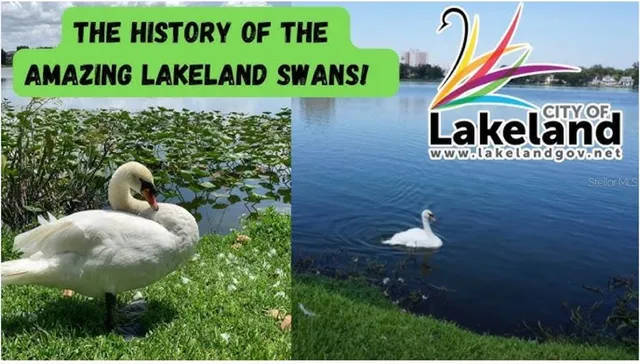 $1,300,000 | Emma Street West, Lakeland, FL 33815