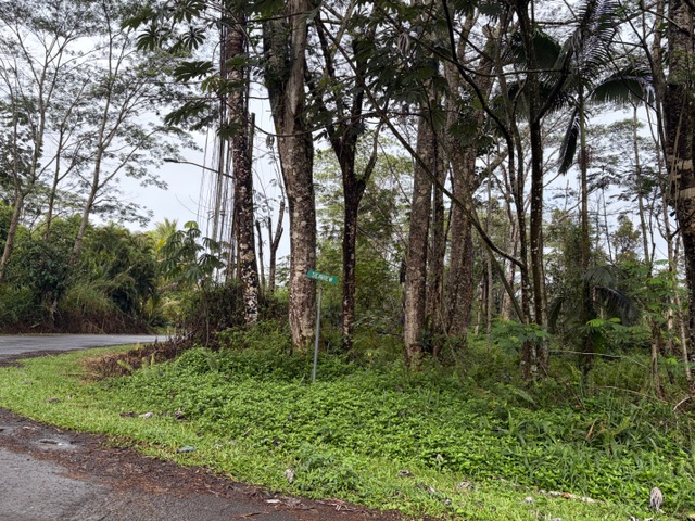 27 Seaview Road Pahoa, HI 96778 - Photo 3 of 12 a backyard of a house with lots of green space