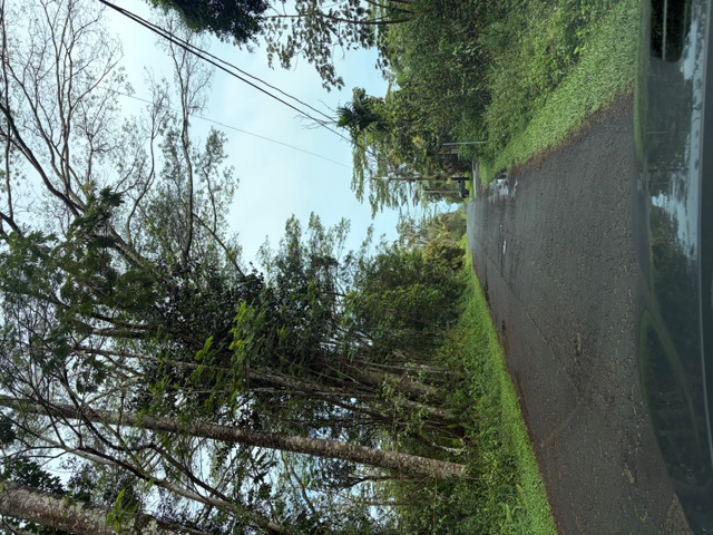 27 Seaview Road Pahoa, HI 96778 - Photo 4 of 12 a view of a street view