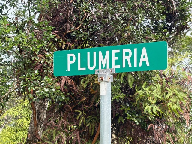 27 Seaview Road Pahoa, HI 96778 - Photo 8 of 12 a sign broad