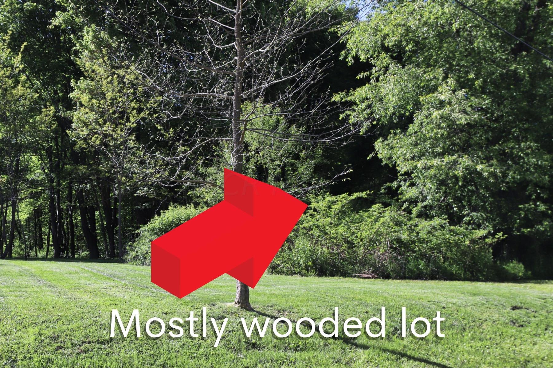 0 Ridgeland Circle, Unit LOT #161 GRAND RIDGE ESTATES Howard, OH 43028 - Photo 4 of 14