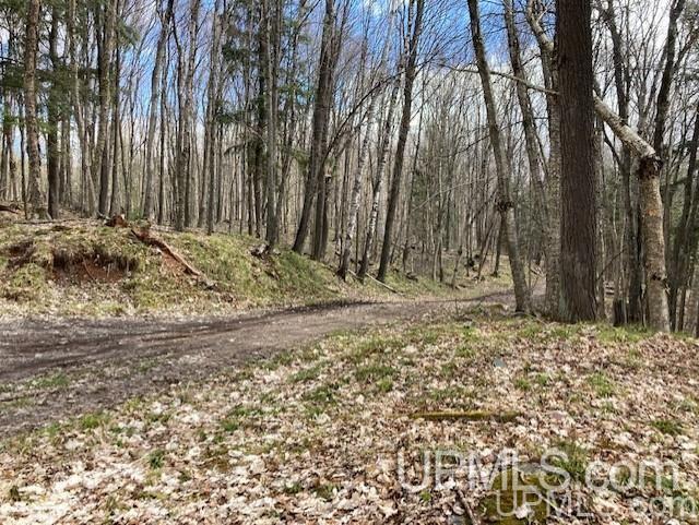 Tbd Channel Road Watersmeet, MI 49969 - Photo 8 of 33 Gallery Image 8