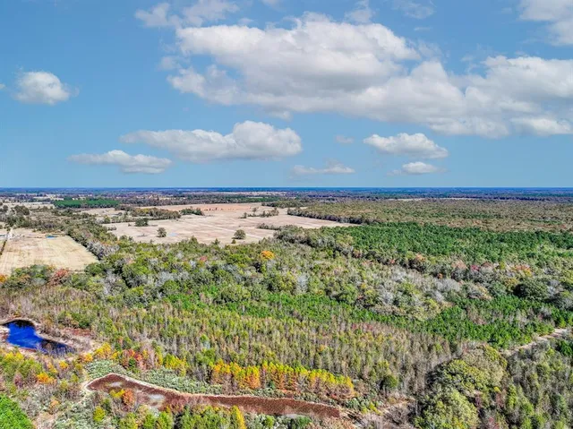 a view of a bunch of trees and houses