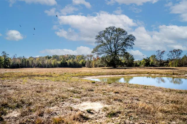 a view of an ocean and beach