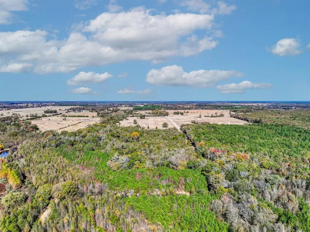 a view of an ocean and beach