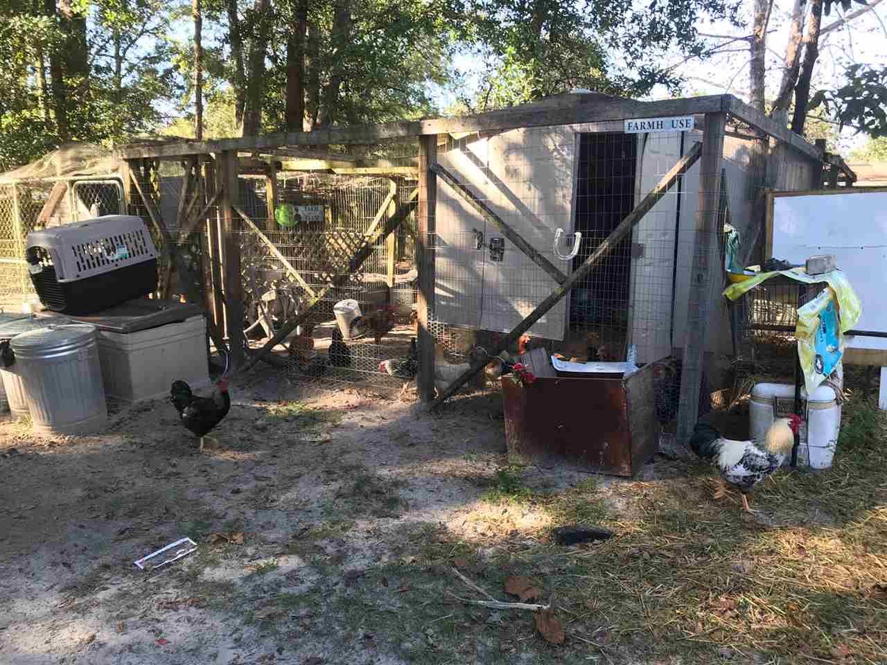 8736 Ranchero Road Tallahassee, FL 32305 - Photo 17 of 18