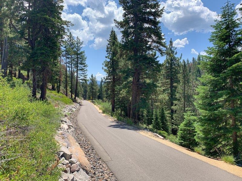 10008 High Street Truckee, CA 96161 - Photo 20 of 28 a view of a street with a trees park