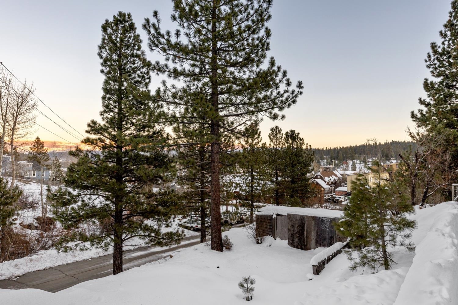 10008 High Street Truckee, CA 96161 - Photo 23 of 28 a view of roof with a tree